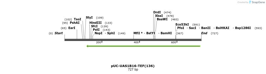 62657_map