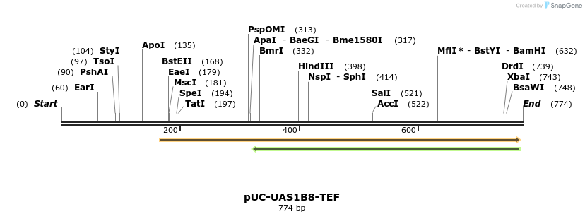 62662_map
