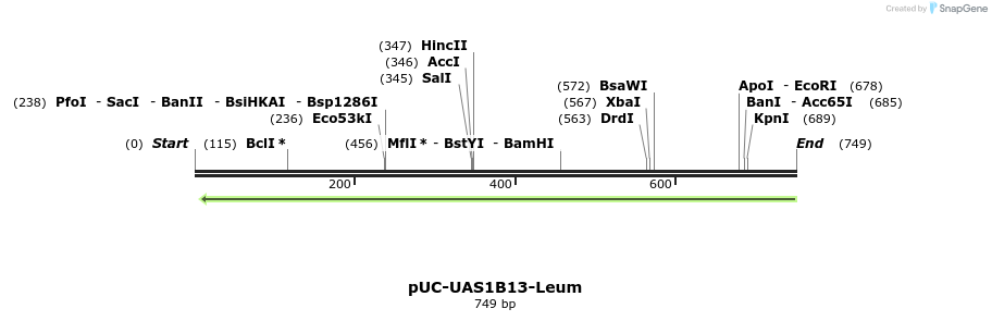 62664_map