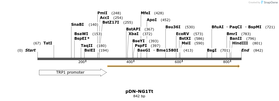 62677_map