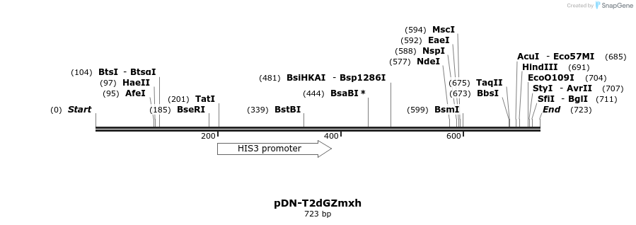 62681_map