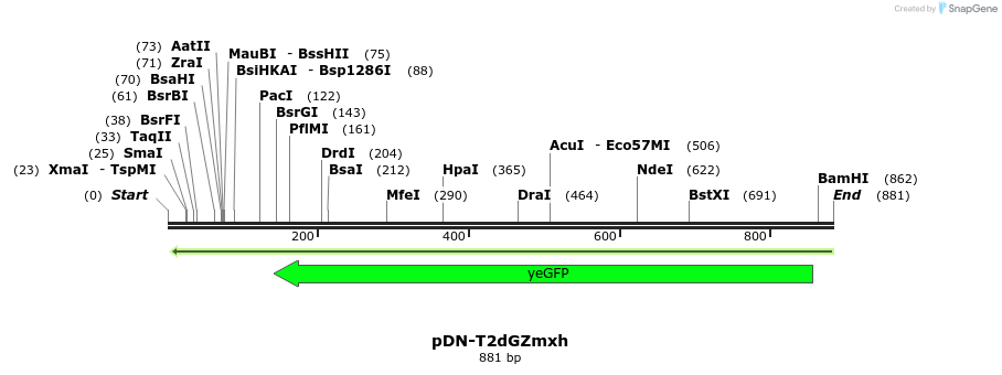 62682_map