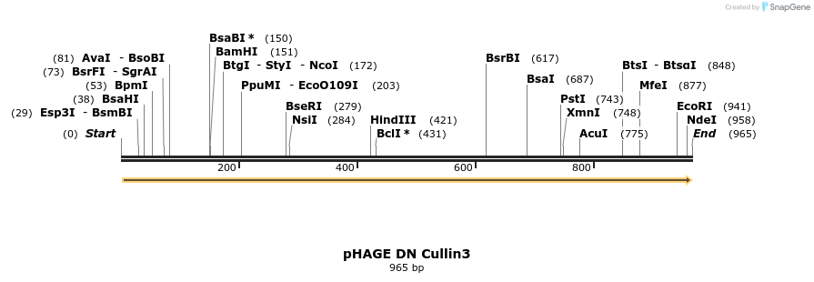 62685_map