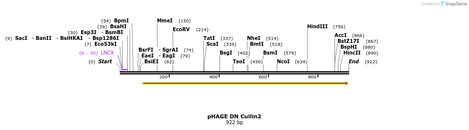 62686_map