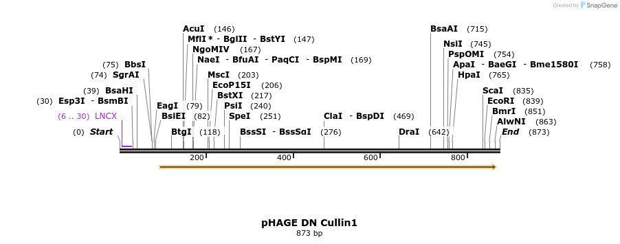 62687_map