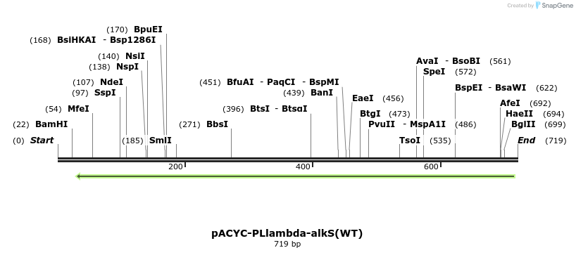 62691_map