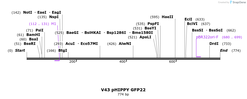62699_map
