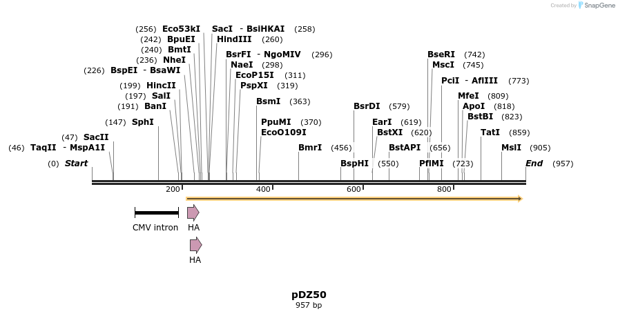 62700_map