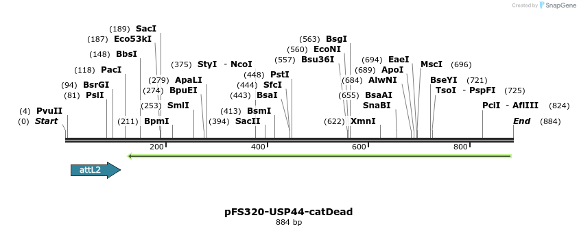 62701_map
