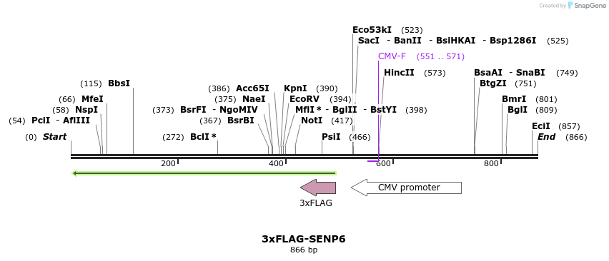 62719_map