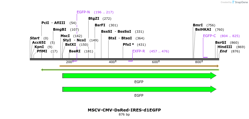 62724_map