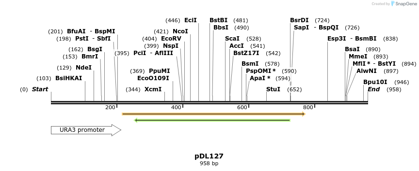 62729_map