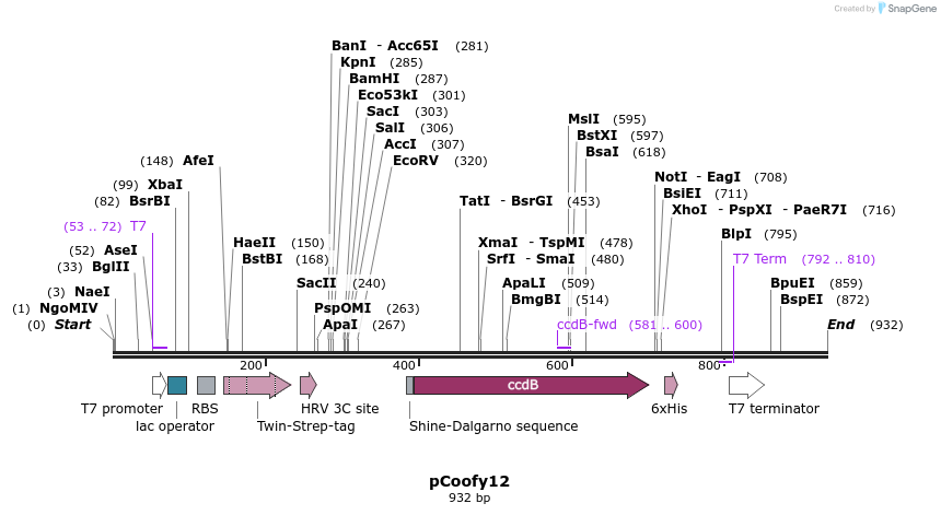 62731_map