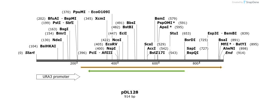 62735_map
