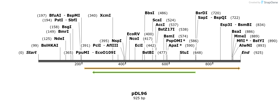 62736_map