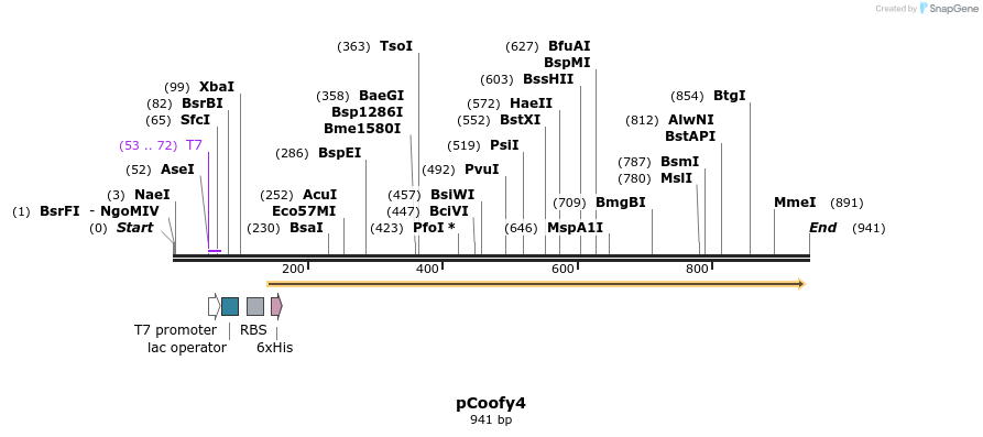 62753_map