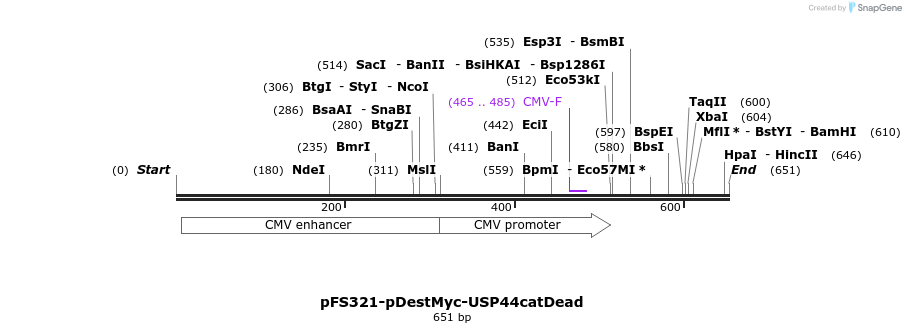 62765_map