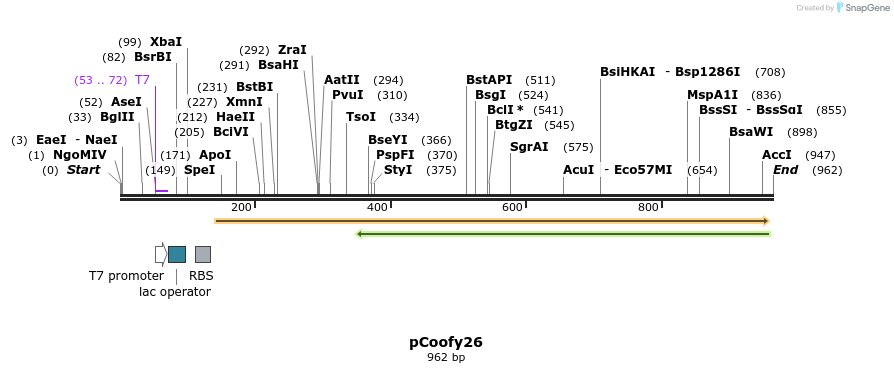62776_map