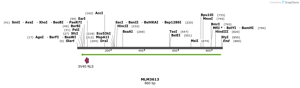 62779_map