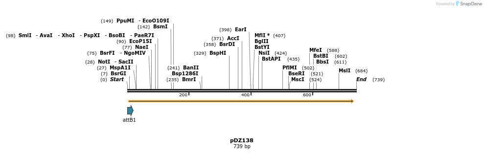 62780_map