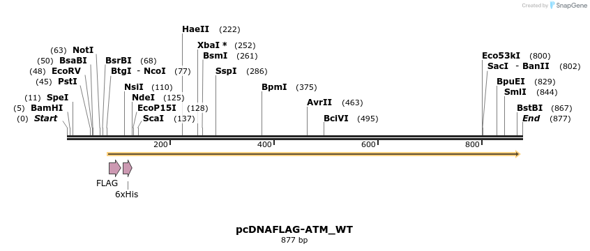 62786_map