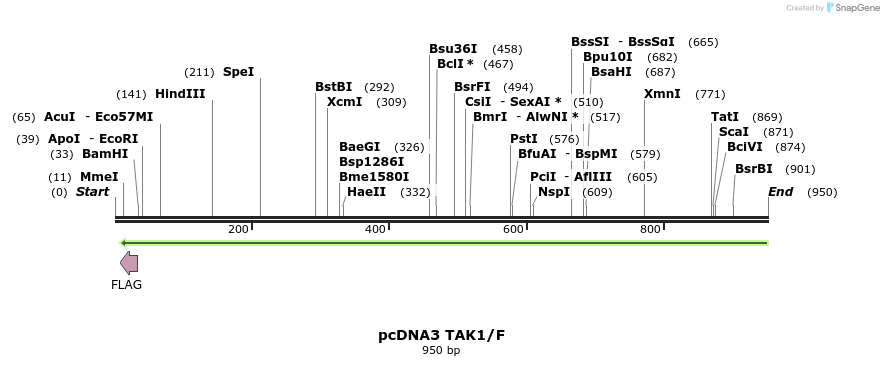 62802_map