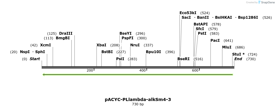 62803_map