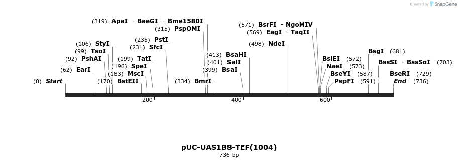 62815_map