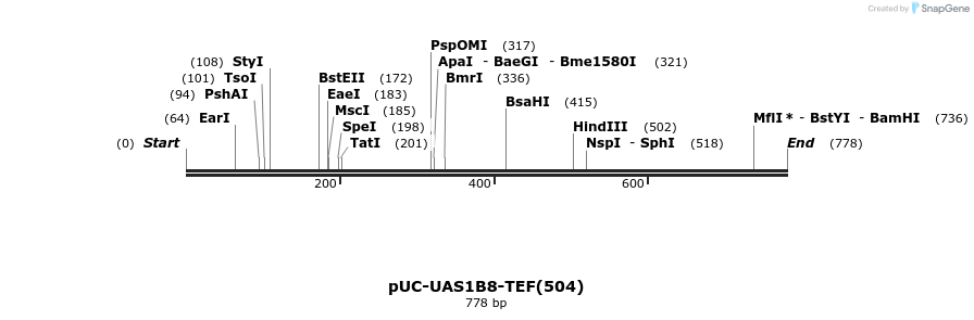 62822_map