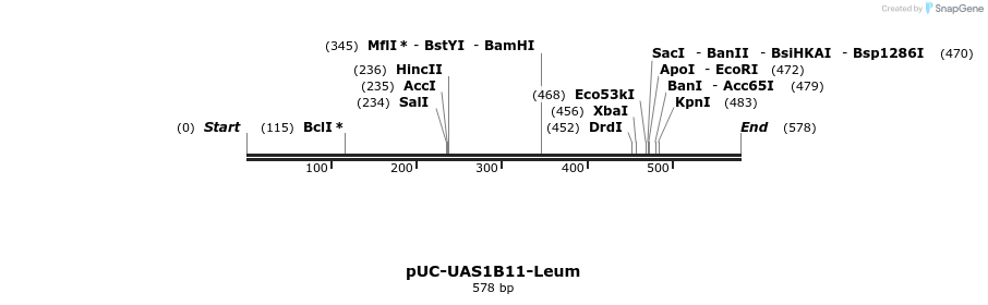 62824_map