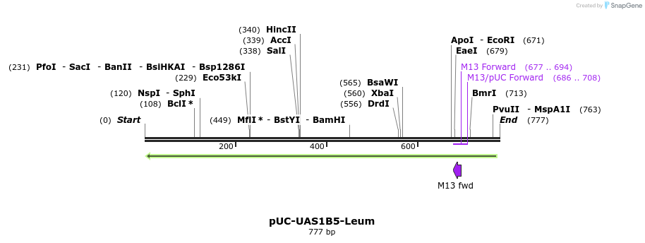 62829_map