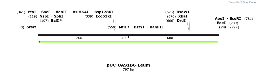 62830_map