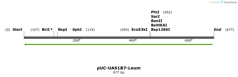 62832_map