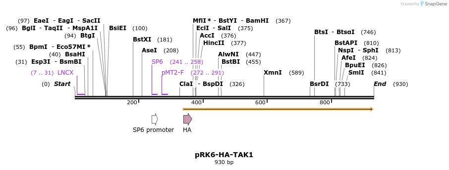 62834_map