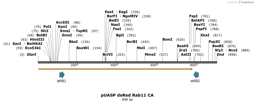62835_map