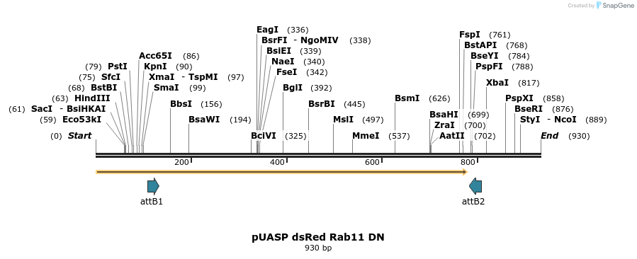 62836_map