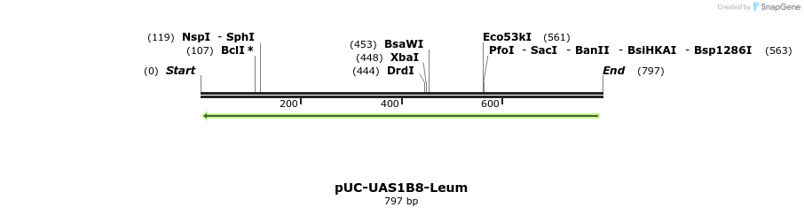 62838_map