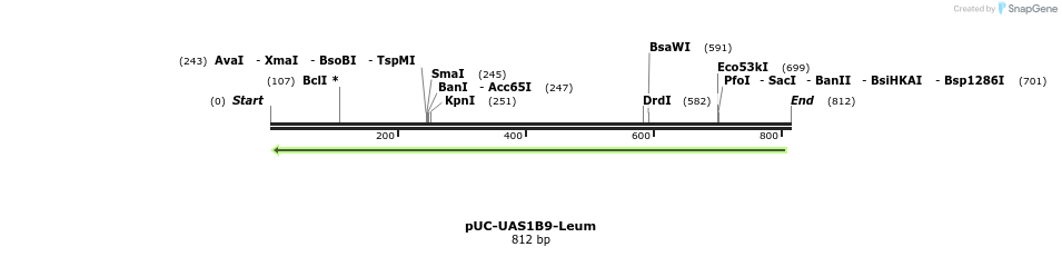 62839_map