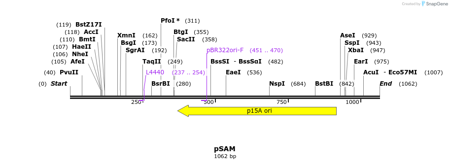 62842_map
