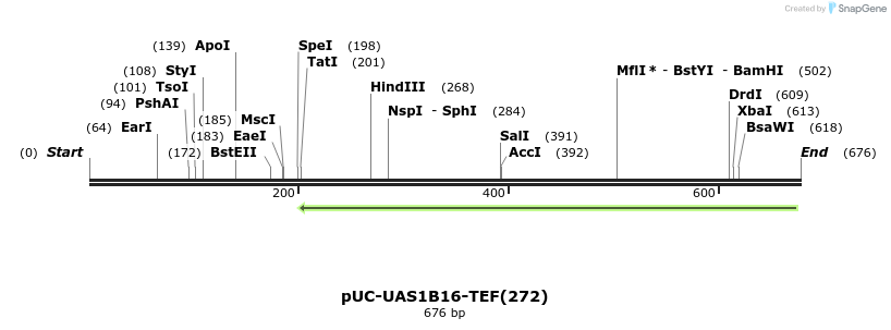 62845_map