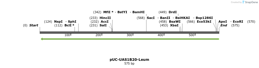 62847_map