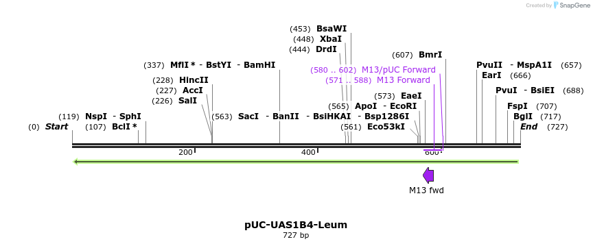 62848_map