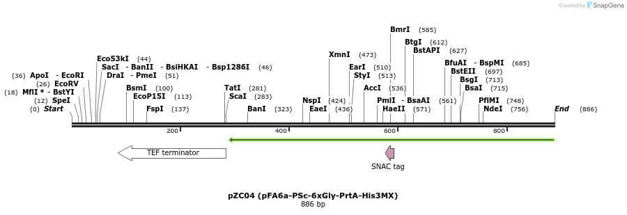 62855_map