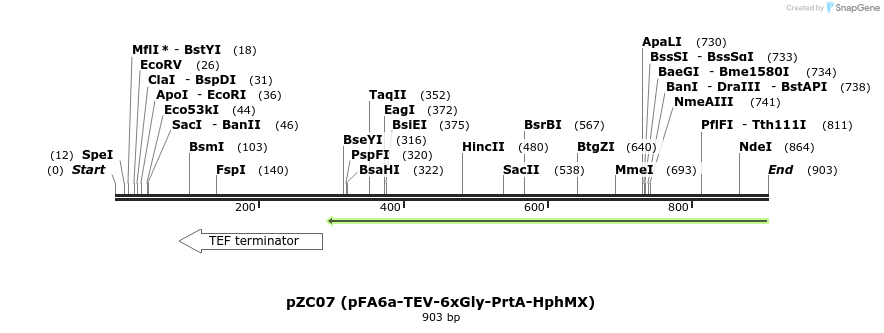 62860_map