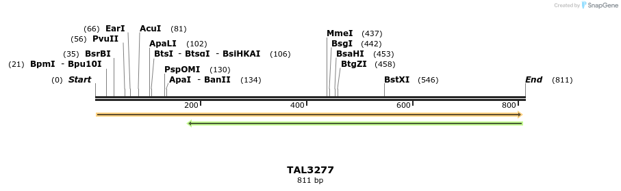 62875_map