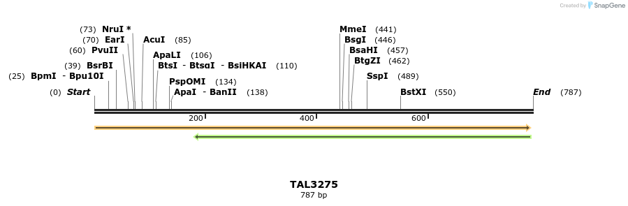62877_map