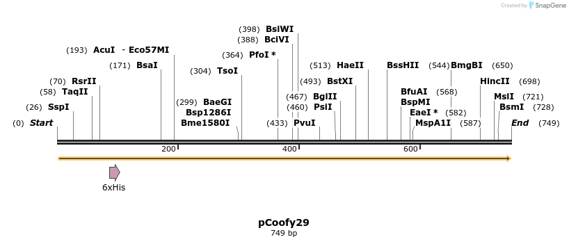 62882_map