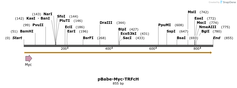 62892_map