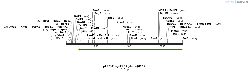 62900_map