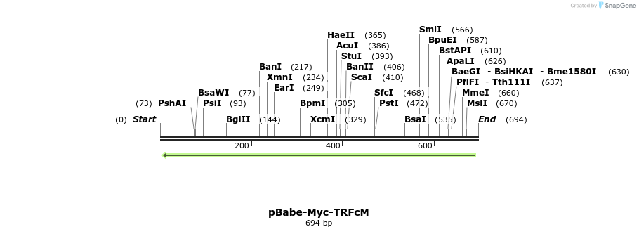 62902_map